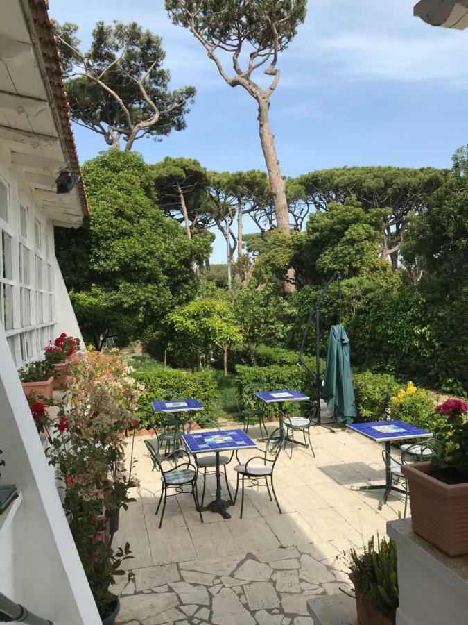 Hotel Il Miraggio Fregenae Exteriér fotografie